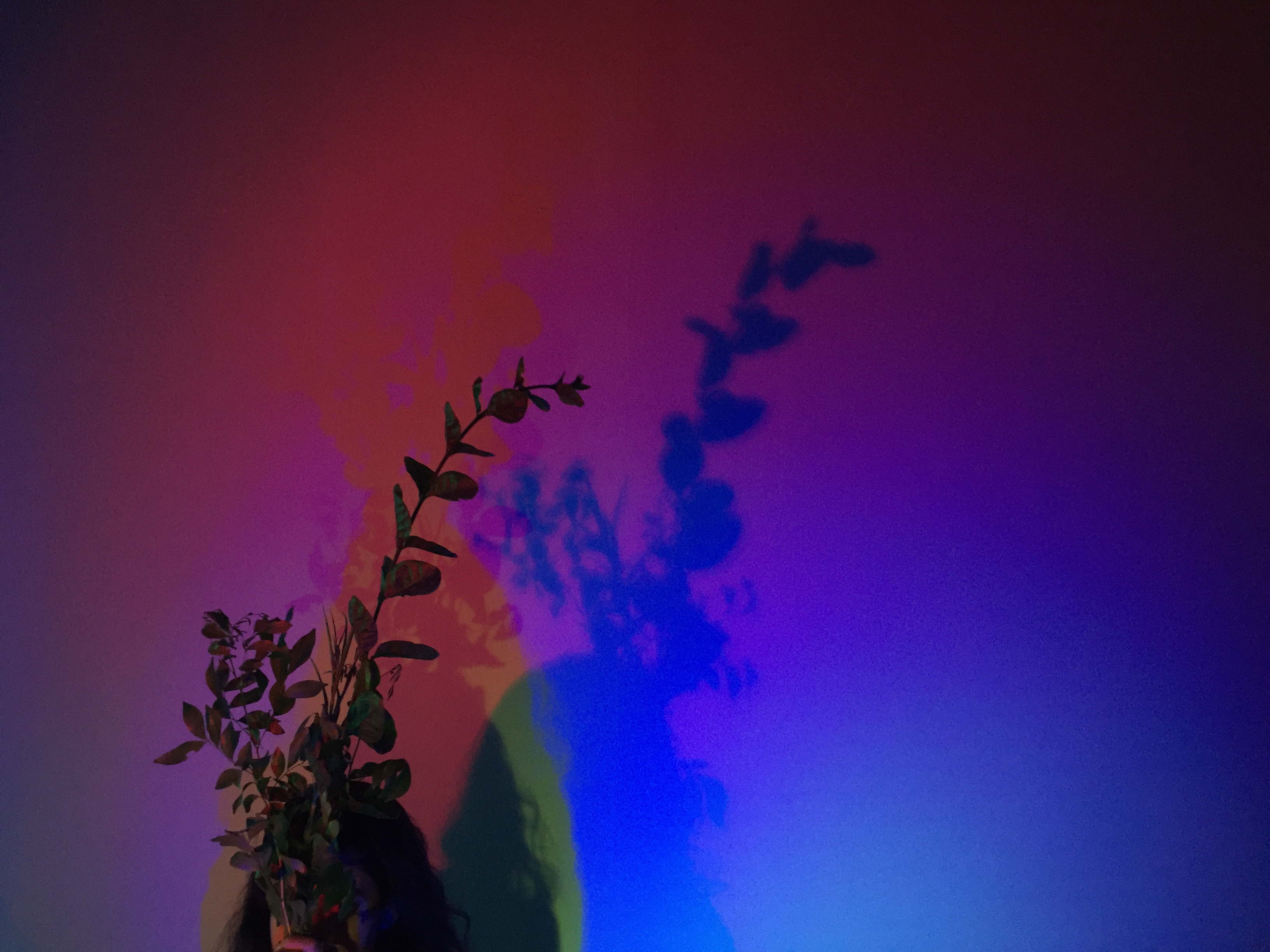 MIND GROWTH